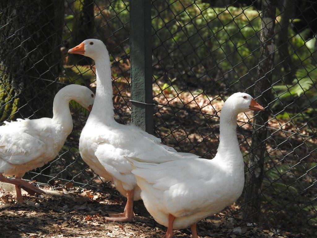 Encosta Dos Tuneis - Turismo E Lazer Sever do Vouga Kültér fotó