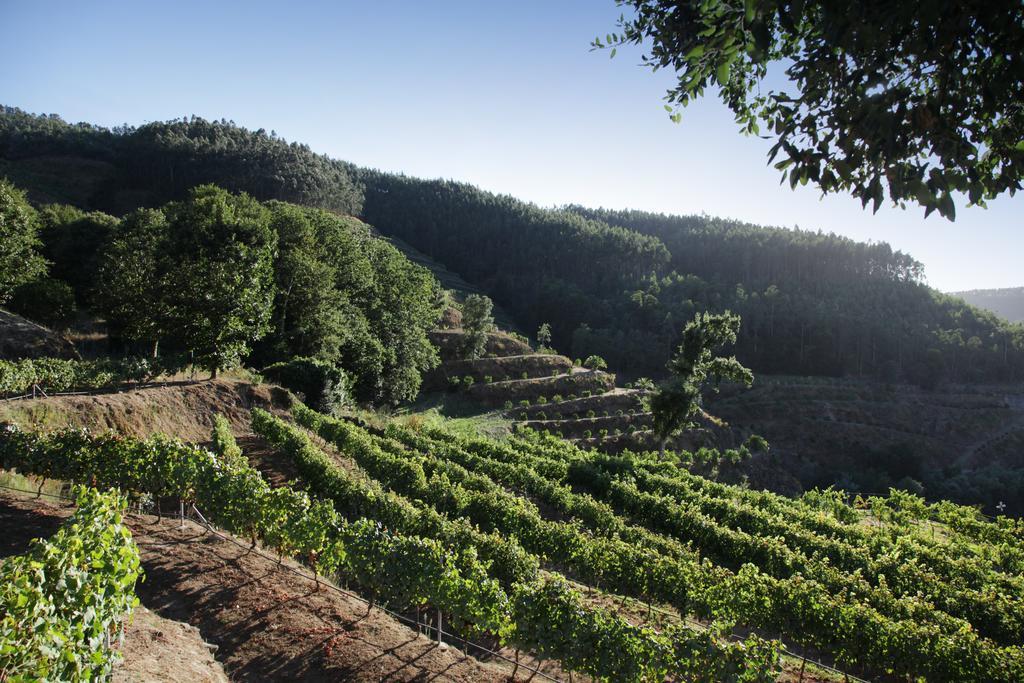 Encosta Dos Tuneis - Turismo E Lazer Sever do Vouga Kültér fotó